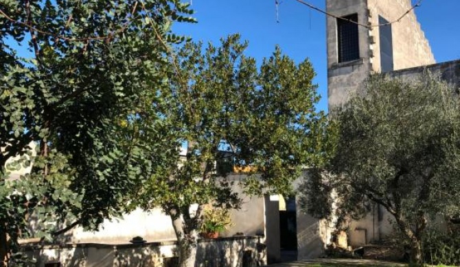 Domus Perrone - Dependance in un Trappeto del Salento