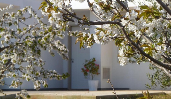 Il Giardino dei Ciliegi - Turi