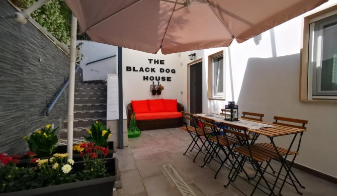 The black dog house