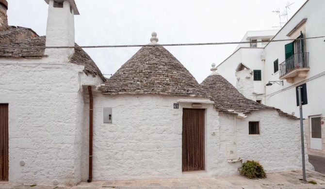 IL FICO D'INDIA - Trullo in Alberobello