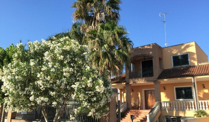 Le Palme B&B