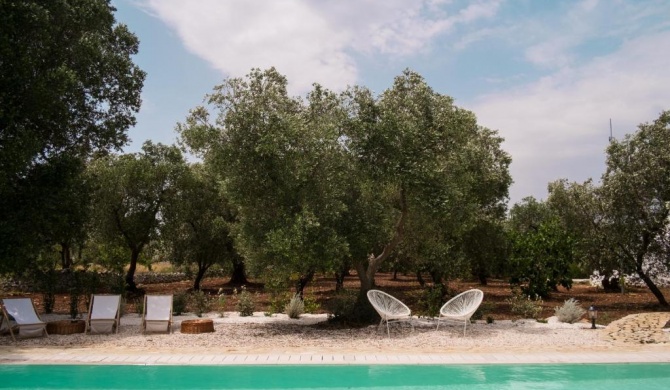 Fikus - the Apulian B&B