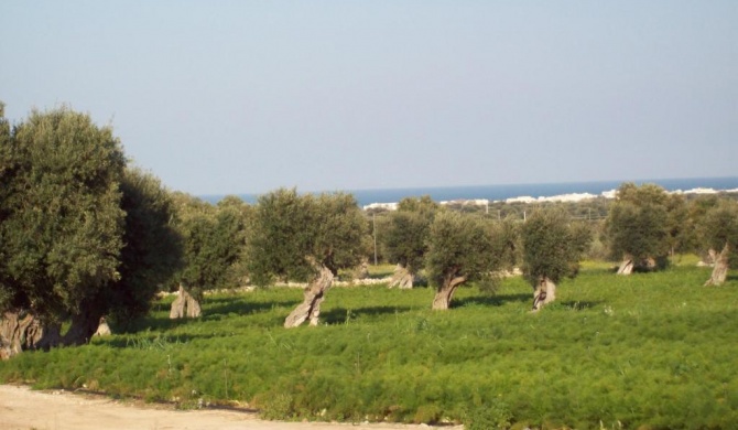 Masseria Ricci