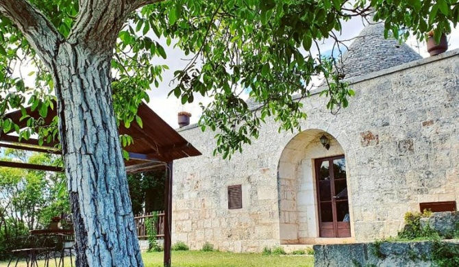 Trulli Panoramici