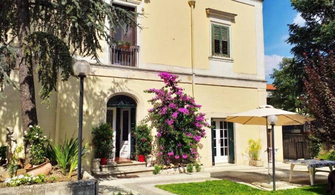 La Bougainvillea