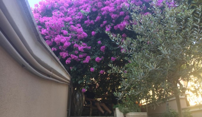 B&B La Bougainvillea