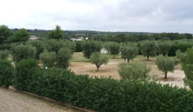 Locazione turistica Green Park