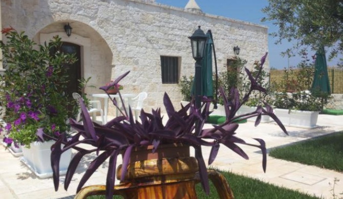 Dimora Matarrese B&B Trulli