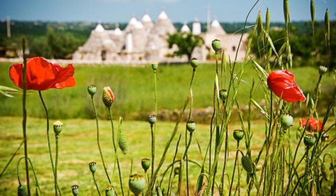 Trulli Il Castagno