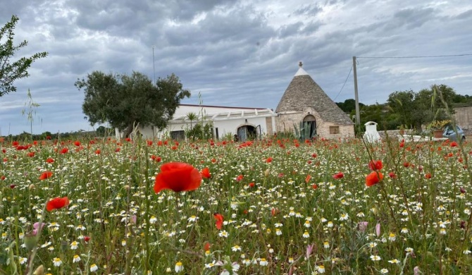 Trullo il Zippo in Zippitello