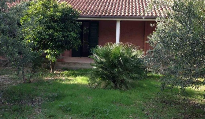 Villa in campagna affacciata sul vigneto