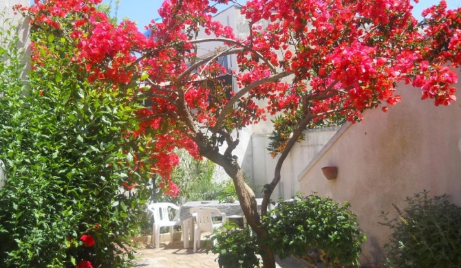 il giardino fiorito, colori e profumi a due passi dal mare