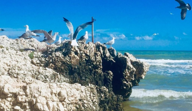 Il gabbiano, attico con terrazzo vista mare